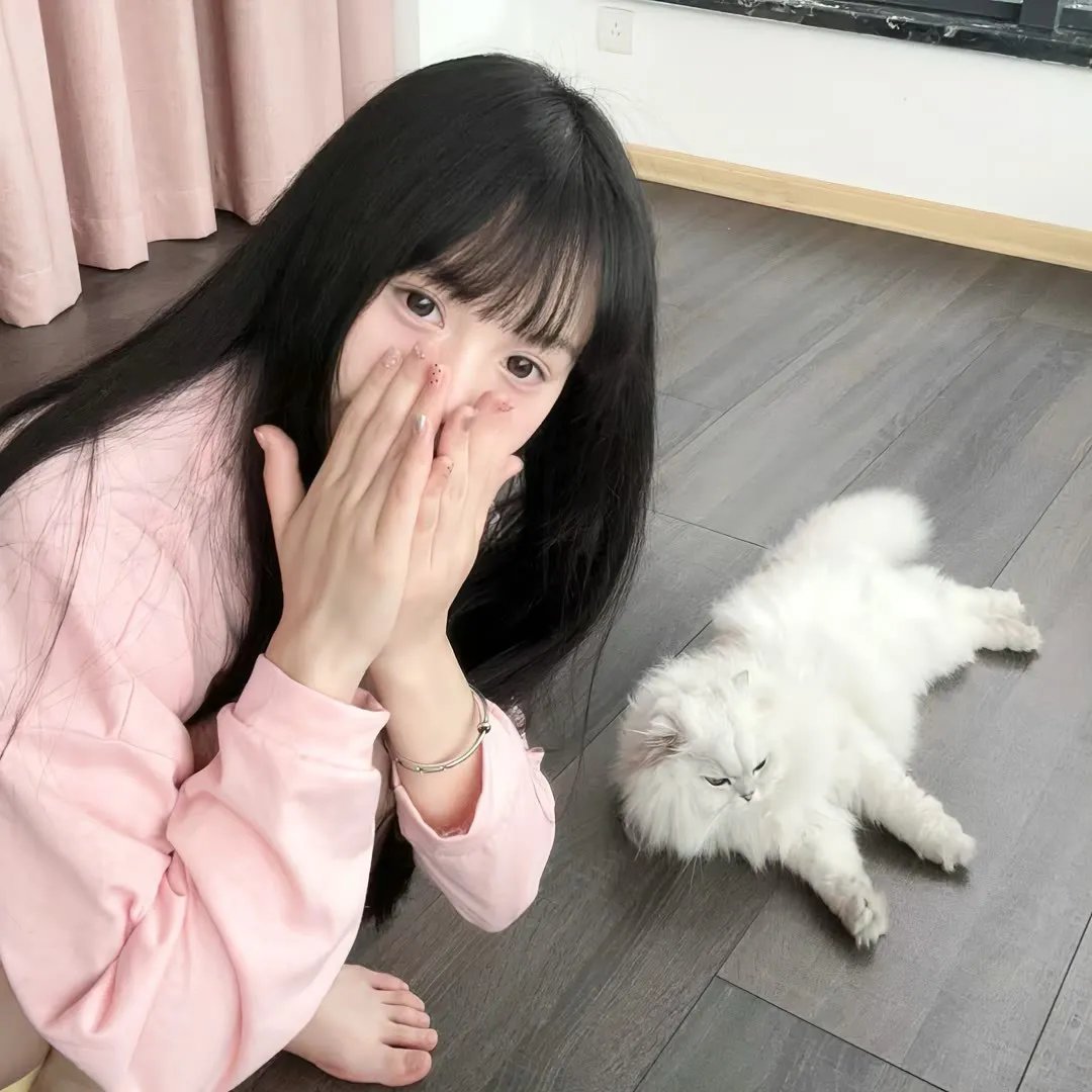 唐娜·芭芭拉