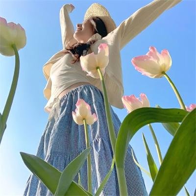 灭鼠大战国语