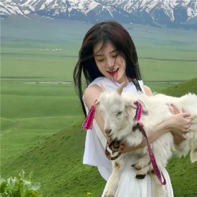 渔港的肉子酱